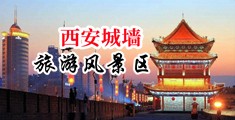 我操了美女中国陕西-西安城墙旅游风景区