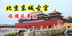 黑丝大胸张倩林中国北京-东城古宫旅游风景区